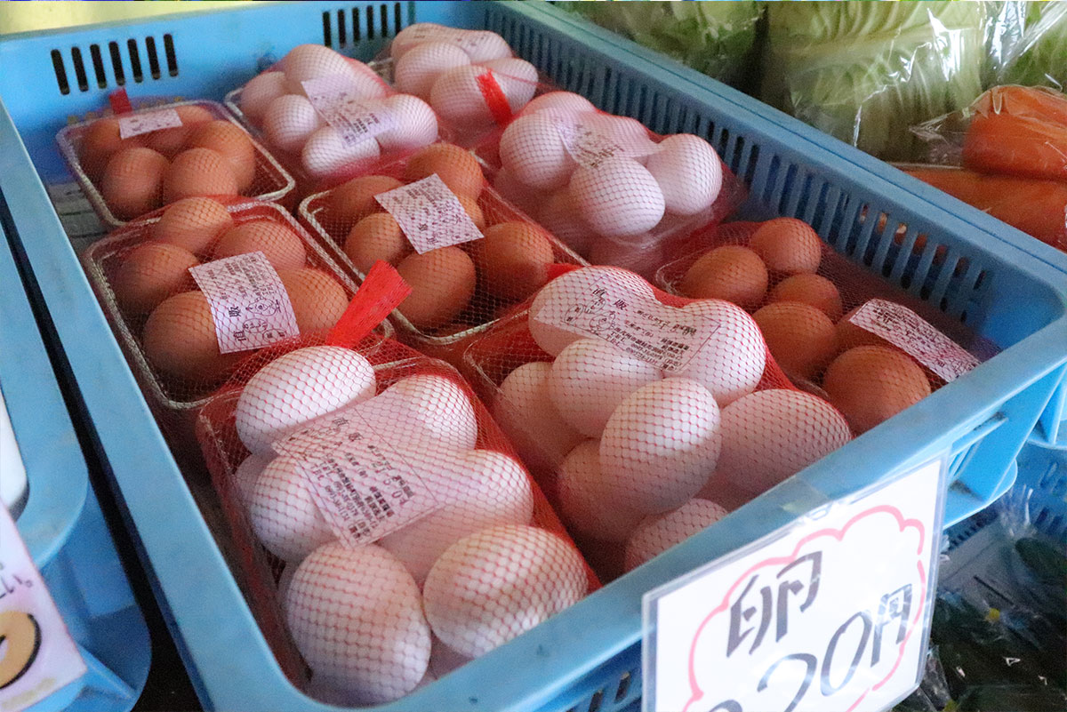 野菜・果物だけではありません！